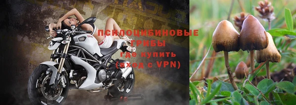mdpv Каменск-Шахтинский