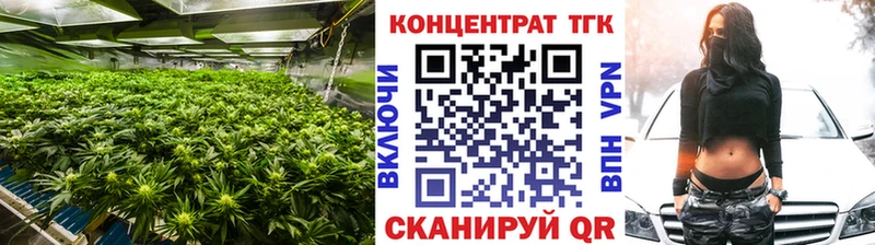 Купить Кудымкар ТГК гашишное масло